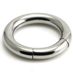 6mm Gauge Steel Smooth Segment Ring