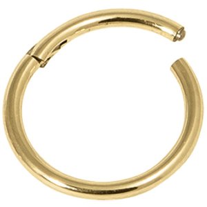 0.8mm Gauge Hinged PVD Gold on Steel Smooth Segment Ring