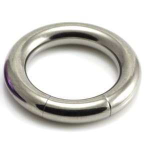 4mm Gauge Titanium Segment Ring