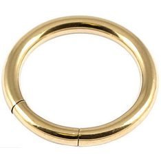 2.5mm Gauge PVD Gold on Titanium Segment Ring