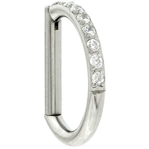 Titanium Half-Jewelled Bar Hinged Segment Ring