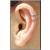 Steel Double BCR Ear Cuff - view 2
