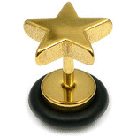 PVD Gold on Steel Star-Shaped Fake Plug