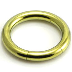 2mm Gauge Titanium Segment Ring