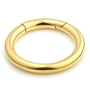 3.2mm Gauge Hinged 24ct Gold PVD Segment Ring