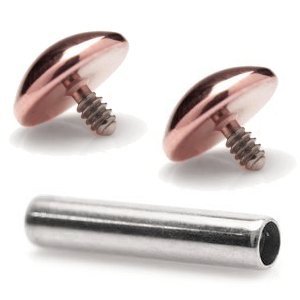 1.2mm Gauge Titanium Barbell with PVD Rose Gold Domes - Internally-Threaded
