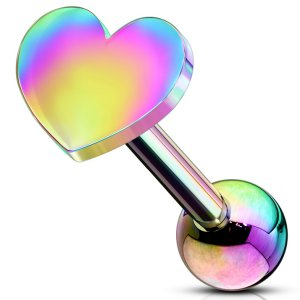 Rainbow Steel Heart Ear Stud