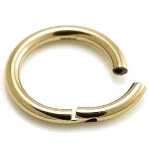 3.2mm Gauge Hinged PVD Gold Titanium Smooth Segment Ring