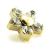 1.2mm Gauge Titanium PVD Gold Jewelled 5-Petal Flower Barbell - Internally-Threaded - view 2