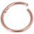 1.0mm Hinged PVD Rose Gold on Steel Smooth Segment Ring - view 1