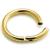 2.5mm Gauge Hinged PVD Gold Steel Smooth Segment Ring - view 1