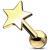 PVD Gold on Steel Star Ear Stud - view 1